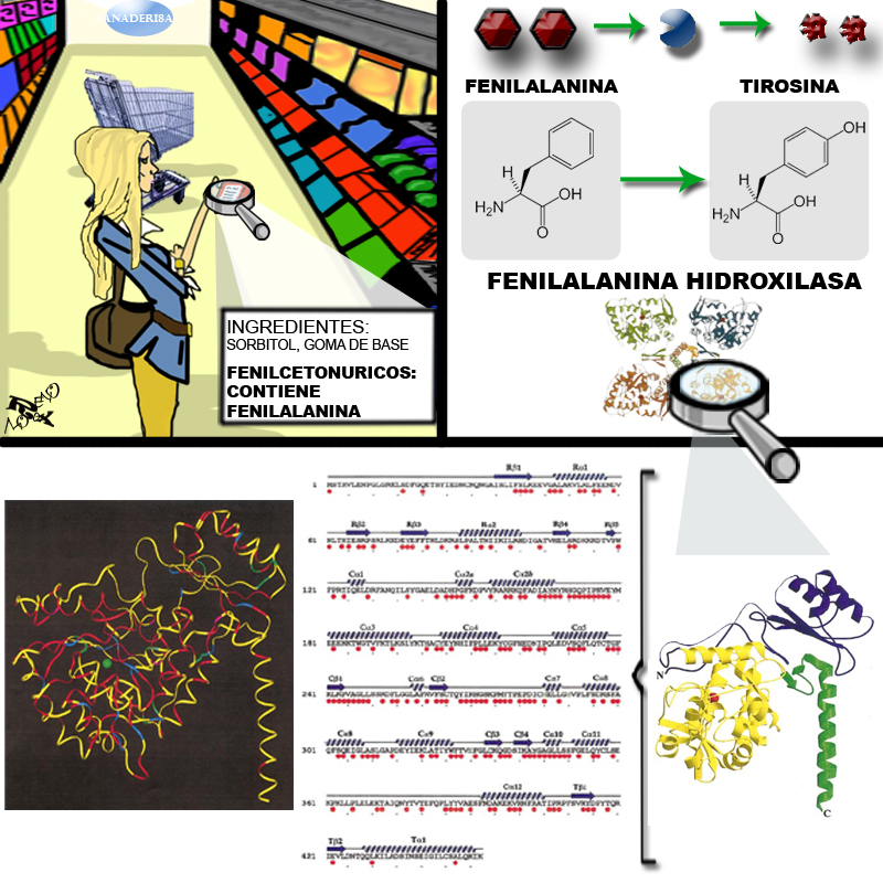 Bases Genómicas de la Fenilcetonuria Fenilcetonuria