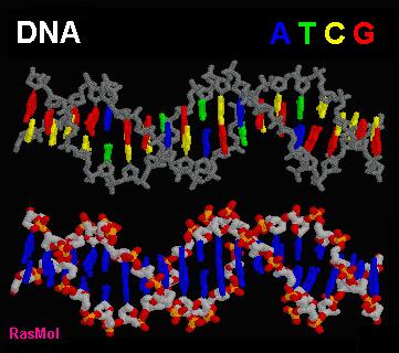 DNA y su código